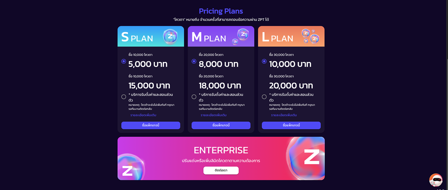 ตัวอย่าง Pricing Plans และแพ็กเกจโควต้า ZPT
